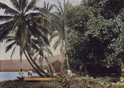 Côte de Mataiea - European Photographer